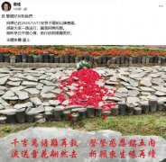 向死而生：生态葬重塑的生命美学
