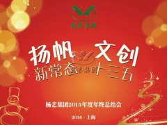年终会：记2015年终总结大会暨2016年计划会议