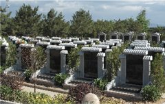 有一种墓碑，叫文化